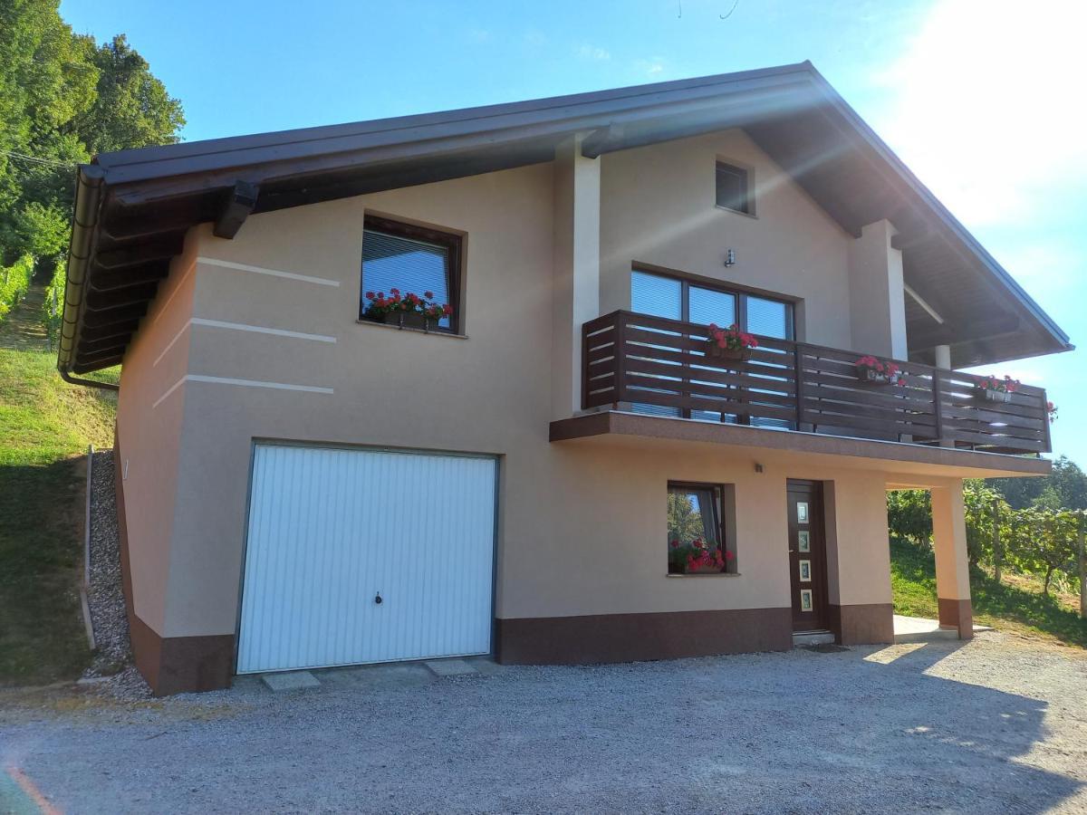 Nastanitev Nika Appartement Rogaška Slatina Buitenkant foto