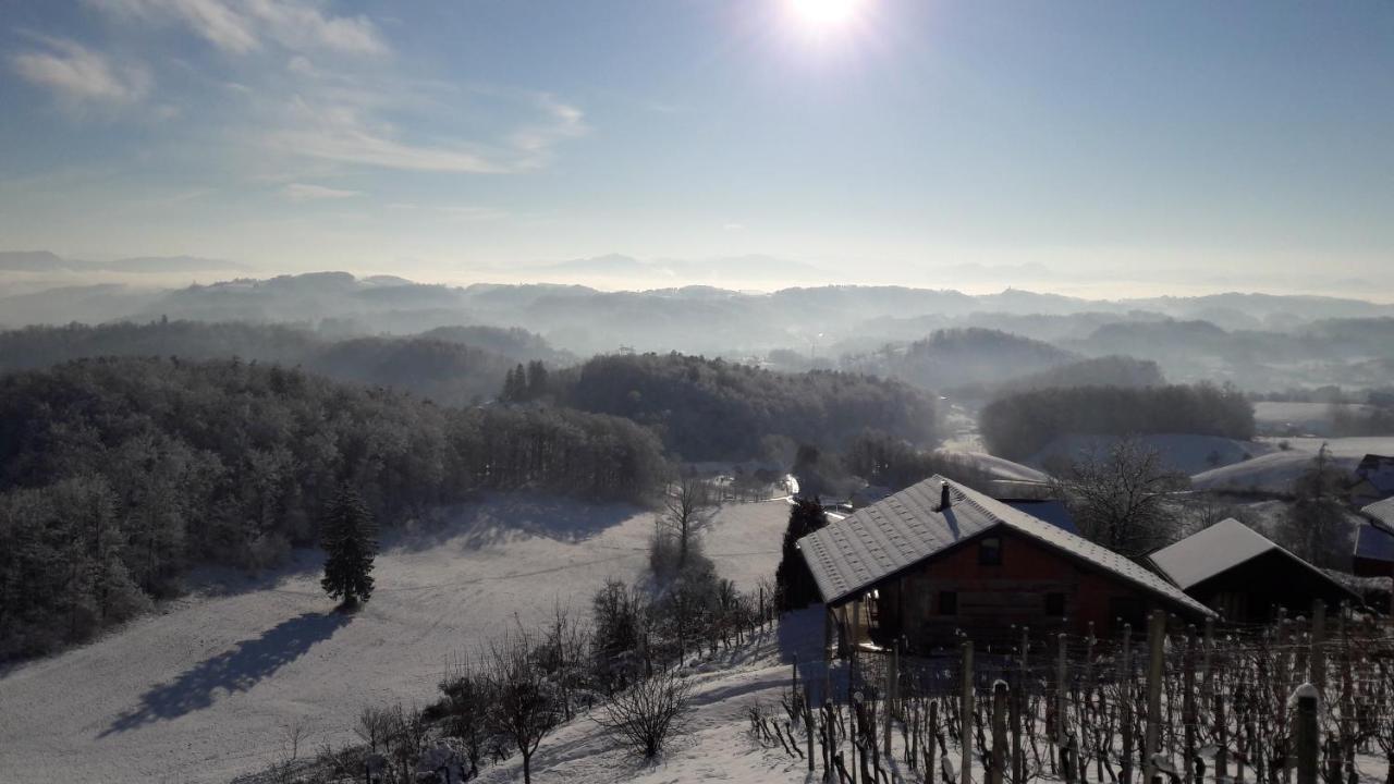 Nastanitev Nika Appartement Rogaška Slatina Buitenkant foto